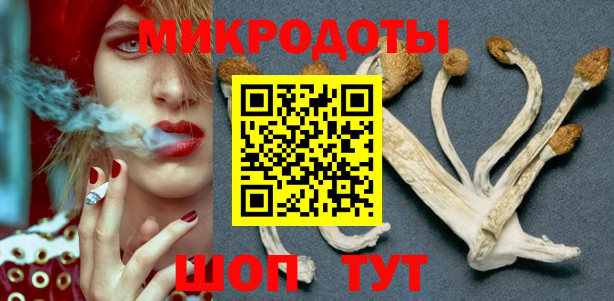 Богданович  Галлюциногенные грибы Cubensis  Вход с VPN  Галлюциногенные грибы мицелий 
