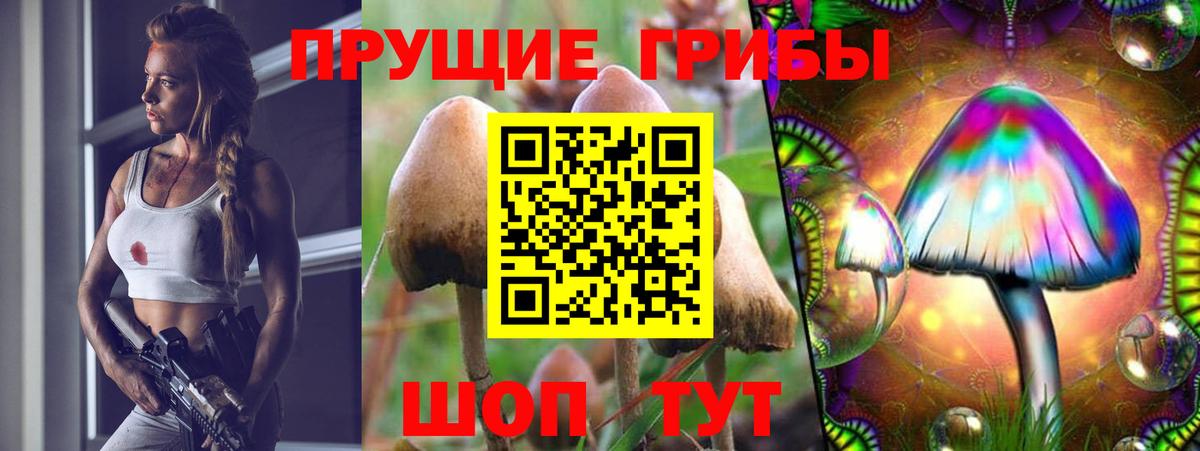 Галлюциногенные грибы мухоморы Богданович